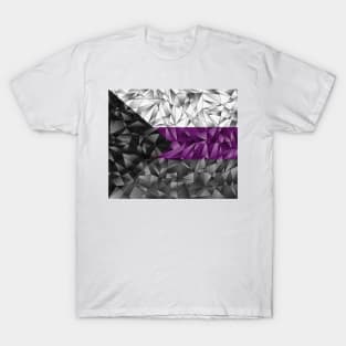 Abstract Fractal Triangles Demisexual Pride Flag Pattern T-Shirt